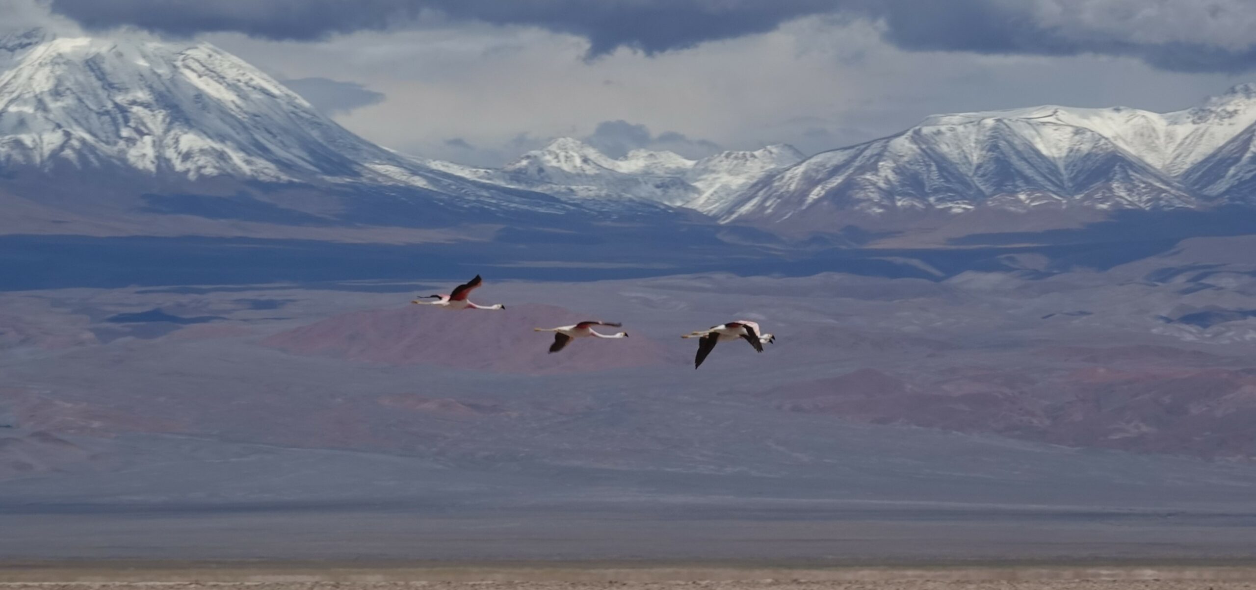 Thurs 2nd Feb 2023: The Atacama Desert