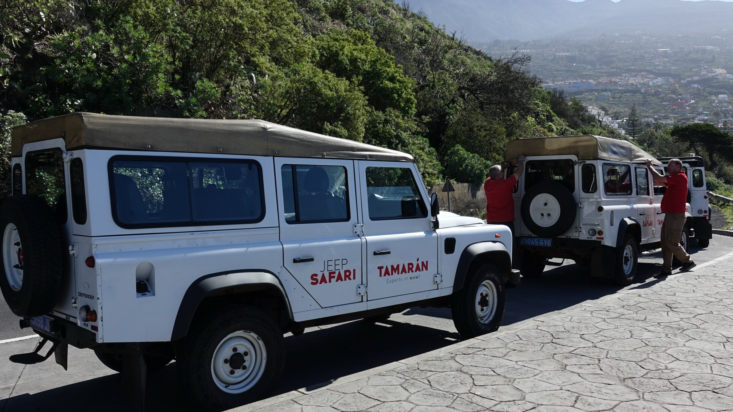 11th Jan 2025 – Tenerife