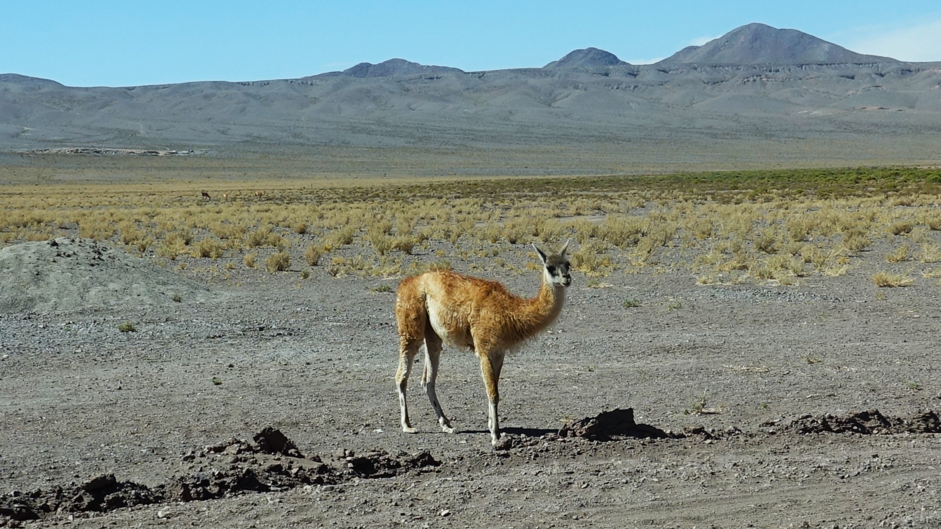 1st Feb 2025 – Atacama: Rainbow Valley & An Astronomical Experience